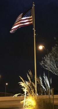 US Flag LED Pole Light Night